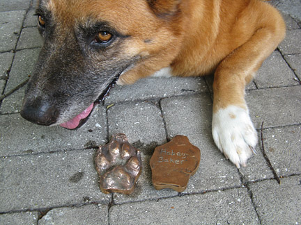 Hobey