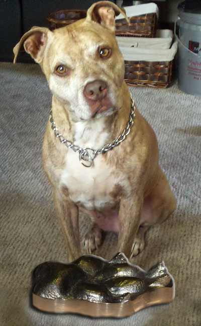 Sadie