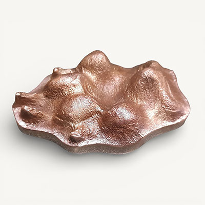 Bronze dog paw